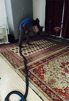 Affordable Persian Rug Cleaning In Artesia Pilar